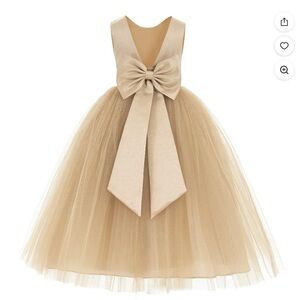 Elegant Champagne Tulle Dress with Bow NWOT
